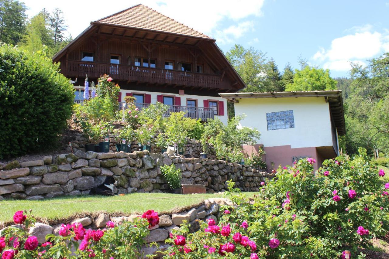 The Moosbach Garden Casa de hóspedes Nordrach Exterior foto